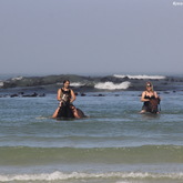 #gansbaaipearlybeachhorsetrails