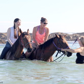 #gansbaaipearlybeachhorsetrails