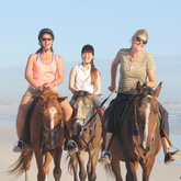 #gansbaaipearlybeachhorsetrails