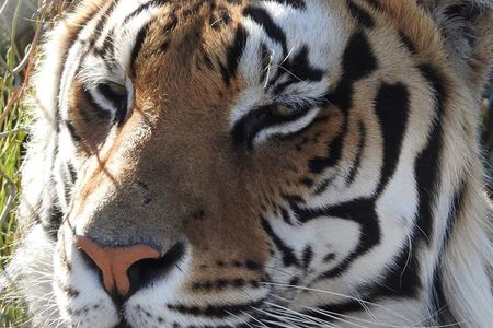 26993257_1662486090502976_3991259314138445083_n_1521100160