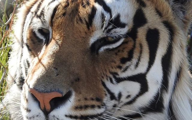 26993257_1662486090502976_3991259314138445083_n_1521100160