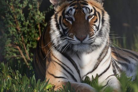 27066878_1662485387169713_8826159902424755630_n_1521100161