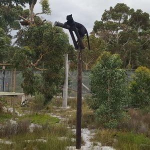 29197298_1712207868864131_3431065208871714816_n_1521190802