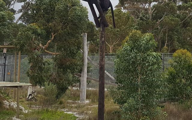 29197298_1712207868864131_3431065208871714816_n_1521190802