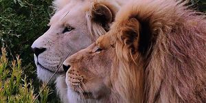 29244204_1712207965530788_1549642673051140096_n_1521190804