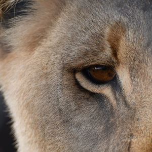 29249721_1712207865530798_3122169949762617344_n_1521190803