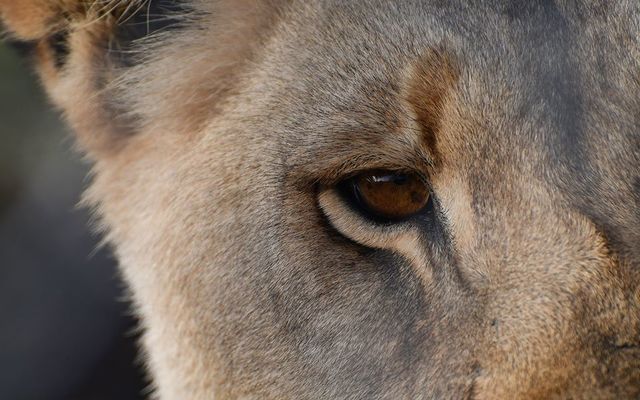 29249721_1712207865530798_3122169949762617344_n_1521190803