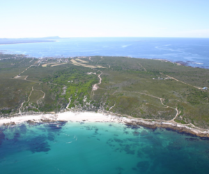 Gansbaai: Donate now to get recreational diving rights back!