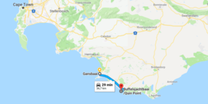 Google_Maps_Area_1521198953