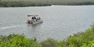 De_Hoop_two_1521713787