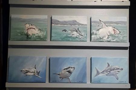 29542339_1838143716246845_1470071966044990818_n_1522136560