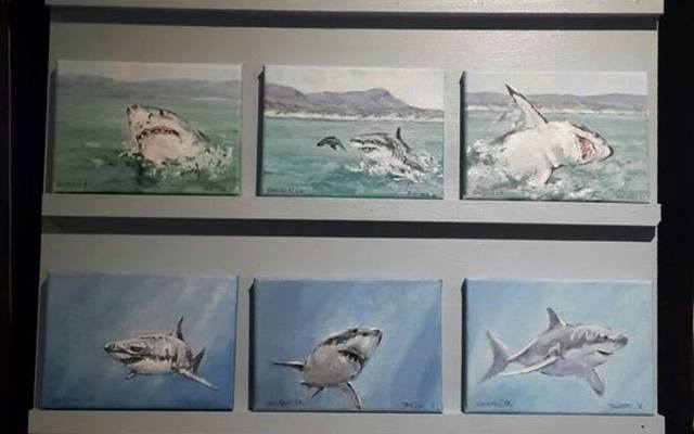 29542339_1838143716246845_1470071966044990818_n_1522136560