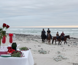 Easter weekend beach trails