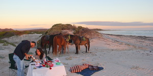 Gansbaai &Pearly Beach Horse Trails