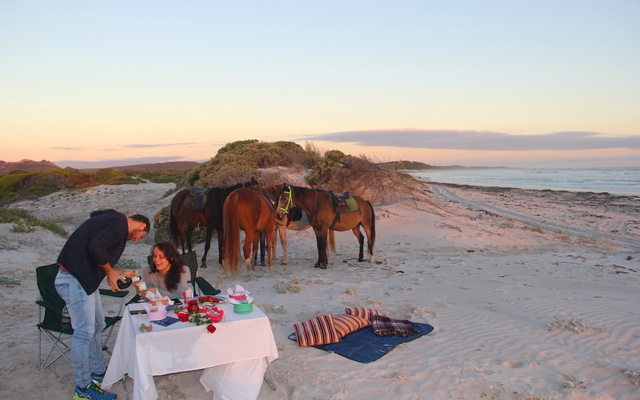 Gansbaai &Pearly Beach Horse Trails