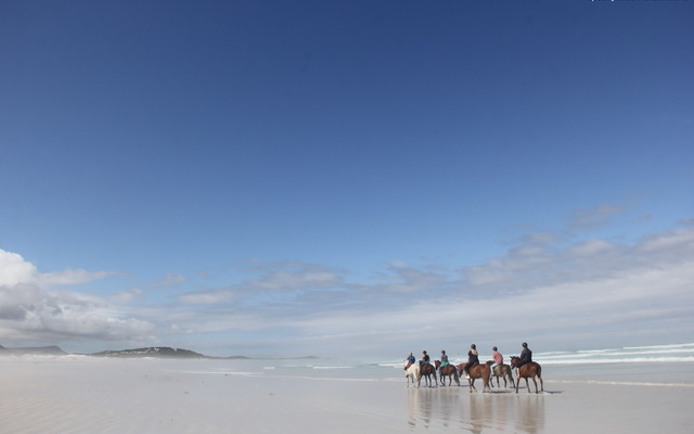 Gansbaai &Pearly Beach Horse Trails