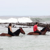 Gansbaai & Pearly Beach Trails
