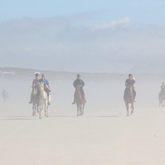 Gansbaai & Pearly Beach Trails