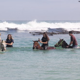 Gansbaai & Pearly Beach Trails