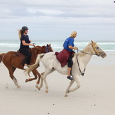 Gansbaai & Pearly Beach Trails