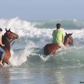 Gansbaai & Pearly Beach Trails