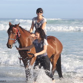 Gansbaai & Pearly Beach Trails