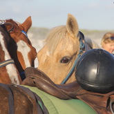 Gansbaai & Pearly Beach Trails