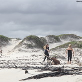 Gansbaai & Pearly Beach Horse Trails