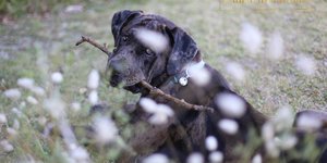 30073320_354040331749961_8239766814943024795_o_1522930215