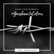 #GansbaaiInColour - April (Mysterious Monochrome)
