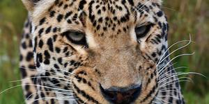 26992273_1662485980502987_3725671369648475896_n_1522998771