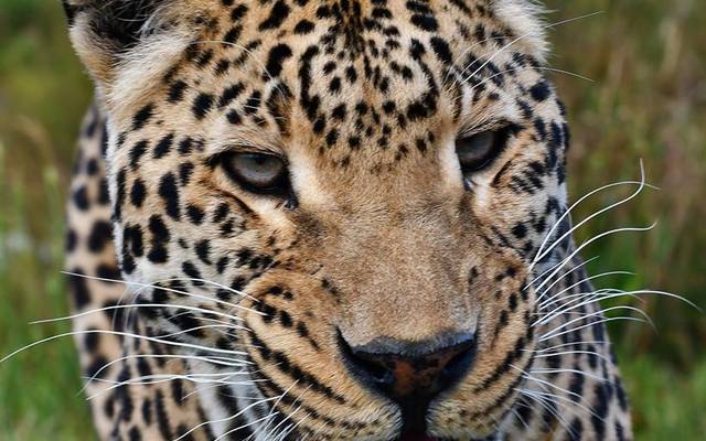 26992273_1662485980502987_3725671369648475896_n_1522998771