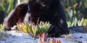 26992389_1662485347169717_7308834633682151744_n_1522998772