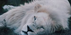 29027449_1707250382693213_5175085873967923200_o_1522998771