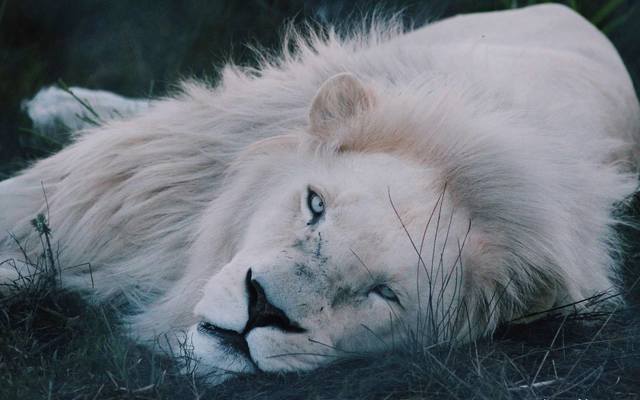 29027449_1707250382693213_5175085873967923200_o_1522998771