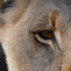 29214171_1712207862197465_1362927267734355968_o_1522998768