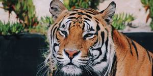 29216418_1711511855600399_8872834857902800896_o_1522998770