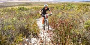 MTB_Xplorio4_1523282554