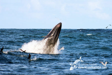 20160922_DC_Trip1_SHoerbst_IMG_077_580x387_1523447428