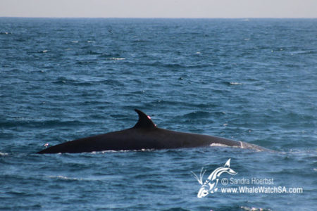 20170728_DC_Trip2_SHoerbst_IMG_058_580x387_1523447428