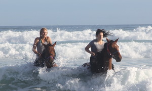 Autumn Trails â€“ Shortening Days and Cooler Weather