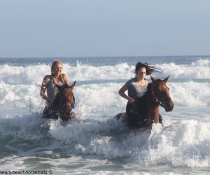 Autumn Trails â€“ Shortening Days and Cooler Weather