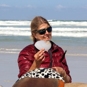 Pearly Beach Horse Trails