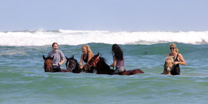 Pearly Beach Horse Trails