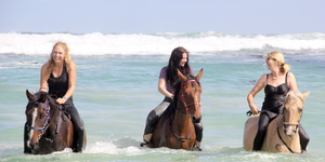 Pearly Beach Horse Trails