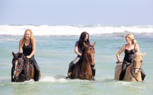 Pearly Beach Horse Trails