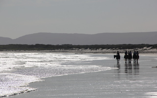 Pearly Beach Horse Trails