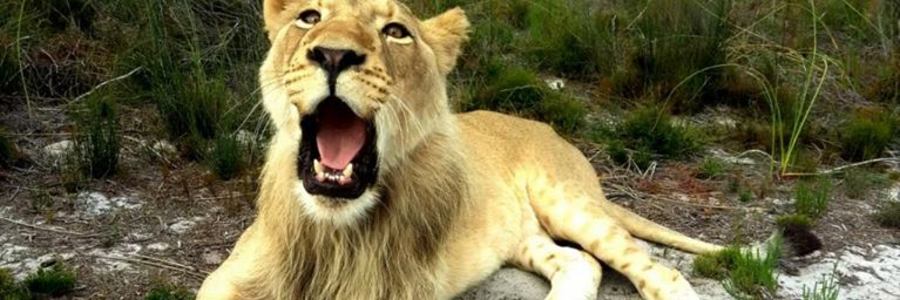 31230579_1753891078029143_5361582966097051648_n_1524557164