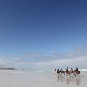 Gansbaai & Pearly Beach Horse Trails