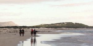 Gansbaai & Pearly Beach Horse Trails